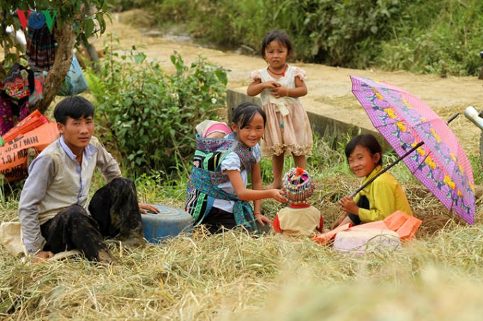 Trong khi người lớn tham gia thu hoạch thì các cháu nhỏ giúp bố mẹ trông giữ em.