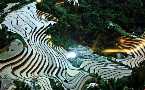 Một tác phẩm đạt giải khuyến khích