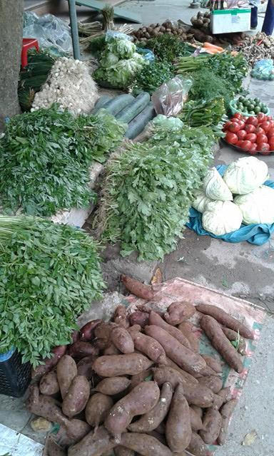 Rau cần sau tết 12 -13 nghìn đồng/ mớ.