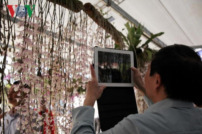Các phương tiện cá nhân như điện thoại, ipac... được du khách dùng để lưu lại những hình ảnh đẹp của hoa lan Lai Châu