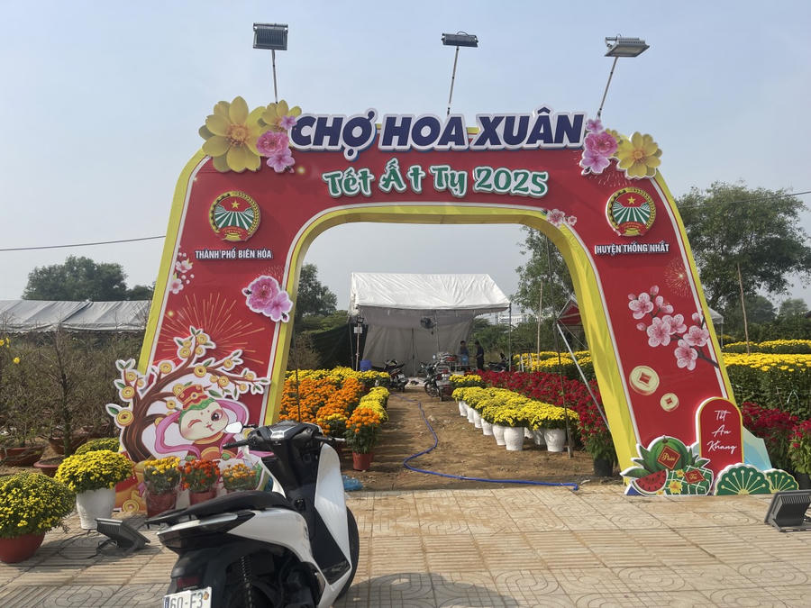 Chợ hoa Xuân trên đường D9 do TP Biên Hoà và huyện Thống Nhất phối hợp tổ chức.