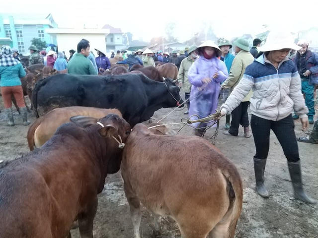 Anh313.