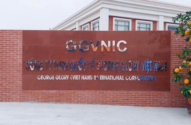 Sau khi bị Thanh tra Công ty giày da GEORGE GLORY đã chấp hành ra sao