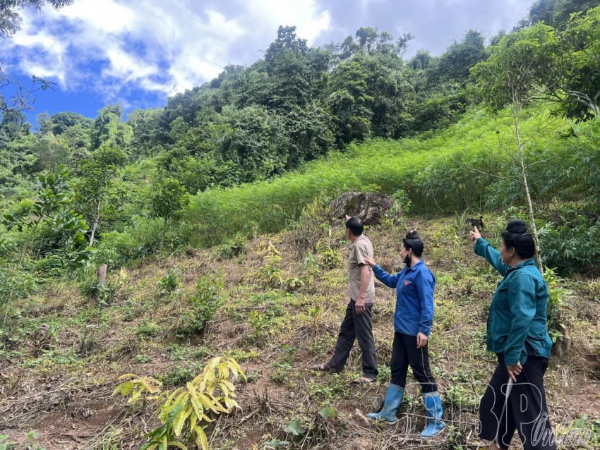 Nhiều hộ dân đã phát triển đa dạng mô hình sinh kế mới, mở ra hướng đi bền vững trong phát triển kinh tế nơi đây.