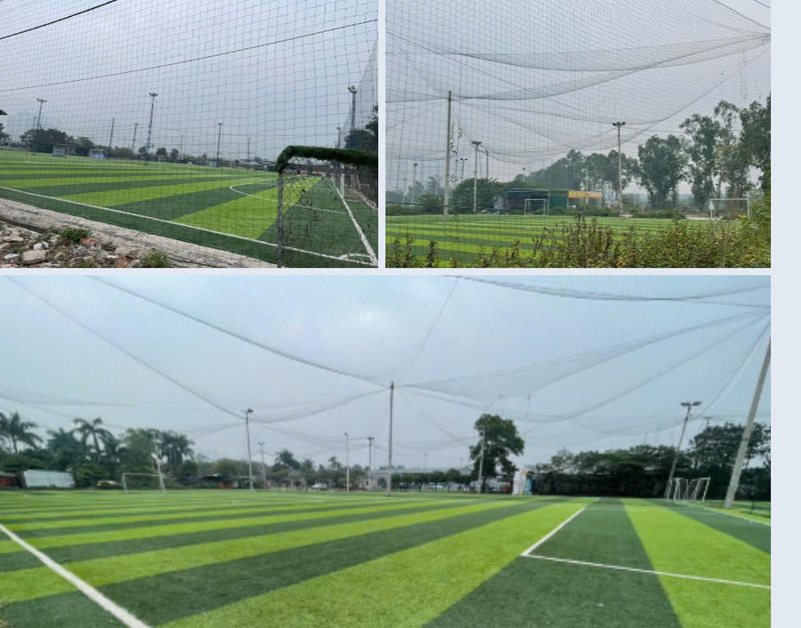 Điều khiến dư luận bức xúc hơn cả là việc cung cấp điện cho những hoạt động trái phép này. Để vận hành nhiều cột đèn mỗi đêm, lượng điện tiêu thụ là không hề nhỏ.