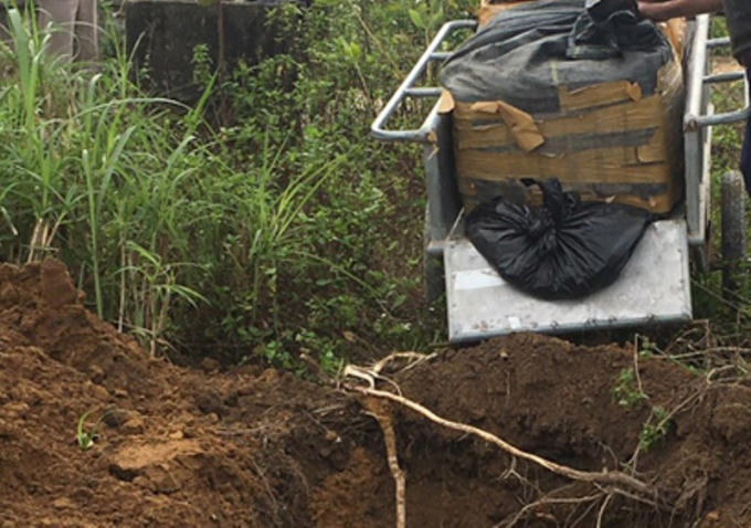 Tiêu hủy hơn 100 kg chân gà tẩy trắng không nguồn gốc