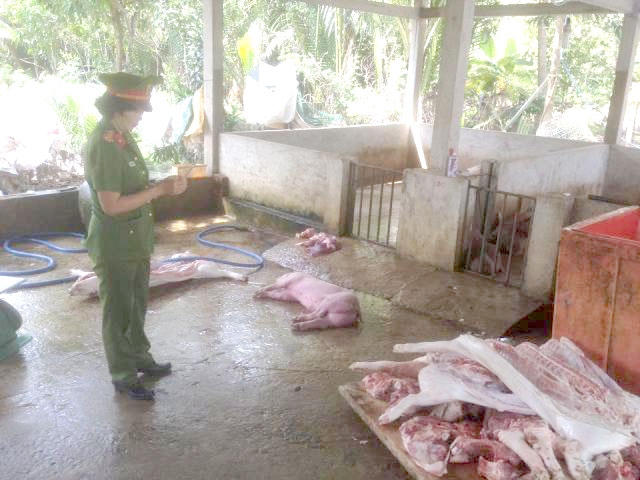 Chủ cơ sở thừa nhận đã mua số heo trên ở các xã lân cận với giá 100.000 đồng/con.