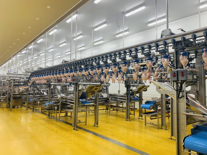 Bên trong khi chế xuất sản phẩm thịt gà xuất khẩu của CPV Food.