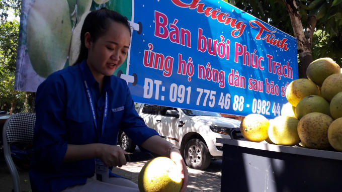 Một bạn tình nguyện viên gọt bưởi để "quảng cáo" chất lượng sản phẩm đến khách hàng. Đảm bảo bưởi Phúc Trạch chính hãng và chất lượng thơm ngon nhất.