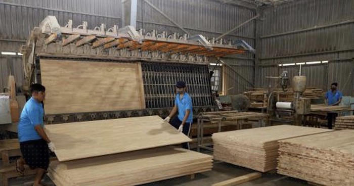 Công nhân sản xuất gỗ ván cao su ghép (Minh hoạ: Internet)