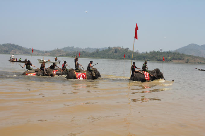 Đua thuyền độc mộc.