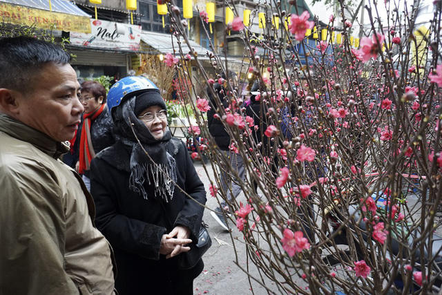 Những cành đào lớn hơn có giá dao động khoảng 200 - 400 nghìn đồng/cành.