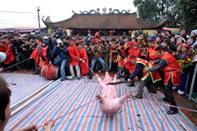 Chém lợn là nét văn hóa. (Ảnh minh họa)