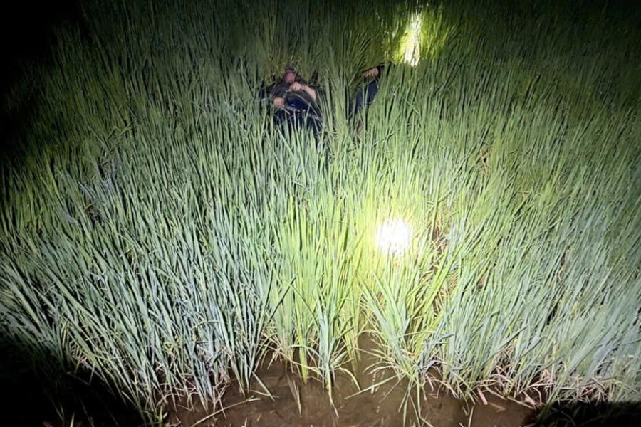 Hiện trường vụ án. Ảnh: Công an Gia Lai