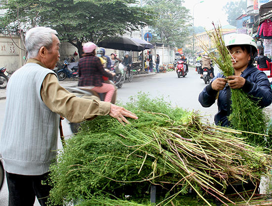 Đun nước lá mùi già để tắm trong ngày 30 Tết đã trở thành một phong tục đẹp, thiêng liêng và là nét văn hóa của người Việt Nam. (Ảnh: KT&amp;ĐT)