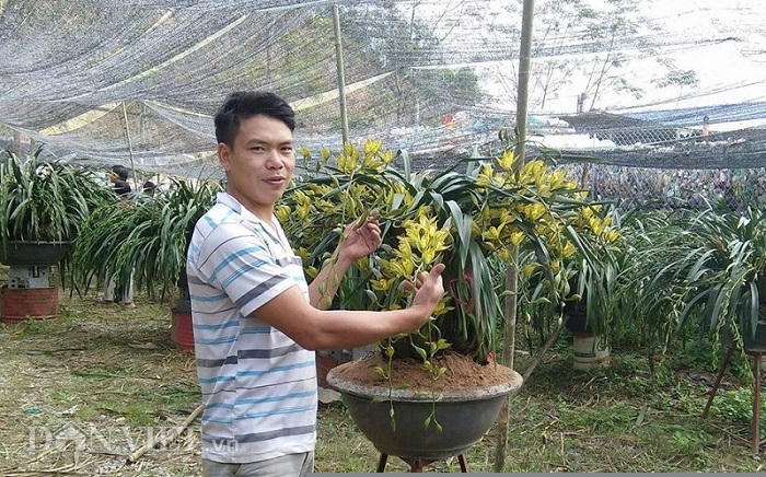 cao thu tiet lo bi kip cham lan “giac mong vua tran” no dung dip tet hinh anh 2