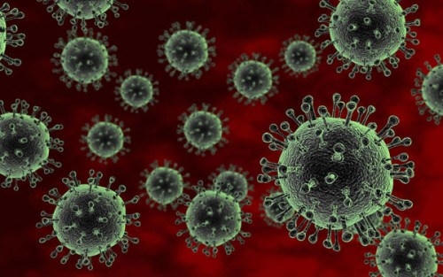 Vi rút cúm A/H5N1 rất nguy hiểm cho sức khoẻ