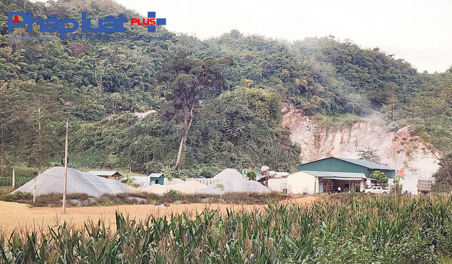 z4906635835919_799ed06c69fe6bf19062fad312496fb1-0744