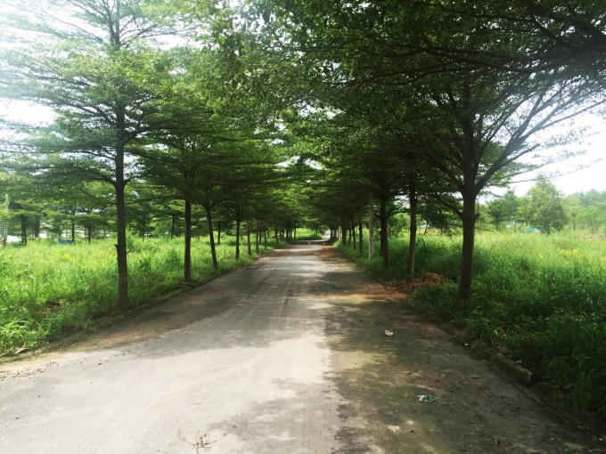 Đường nội khu của dự án hoàn chỉnh.