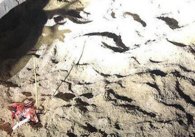 Hiện trường nơi bé trai bị đàn chó dữ tấn công.