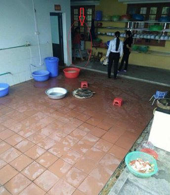 Bé 4 tuổi bị cô giáo và Hiệu trưởng dọa cắm điện, thả vào máy vặt lông gà.