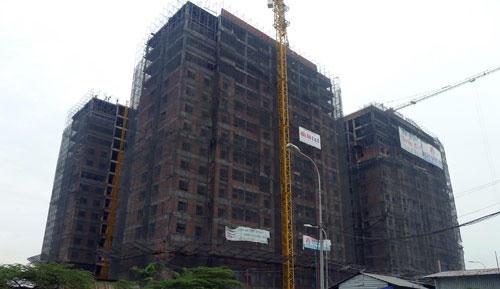 Ảnh minh họa (nguồn: internet)