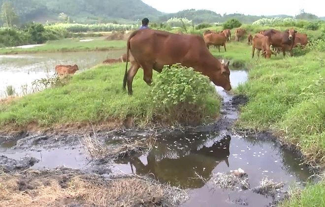 Kết quả phân tích nguồn nước xả thải cho thấy có 7/12 thông số vượt quy chuẩn môi trường