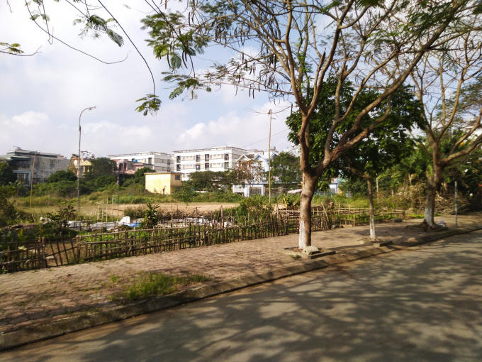 Đến nay, ngôi trường Tiểu học Trần Hưng Đạo vẫn chỉ là bãi đất hoang