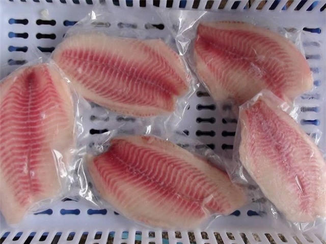 Có nên ăn cá rô phi? Có, nếu nó được nuôi ở môi trường sạch.