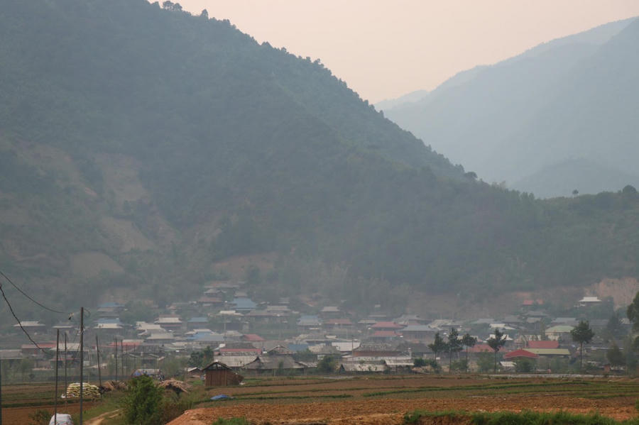 Quả táo mèo được kỳ vọng sẽ giúp vùng đất Ngọc Chiến thoát nghèo và làm giàu.