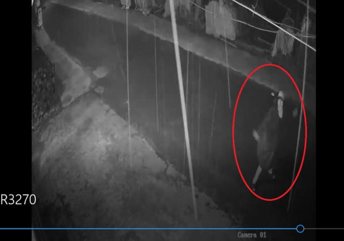 Khủng bố bằng âm thanh và bom bẩn, trứng thối