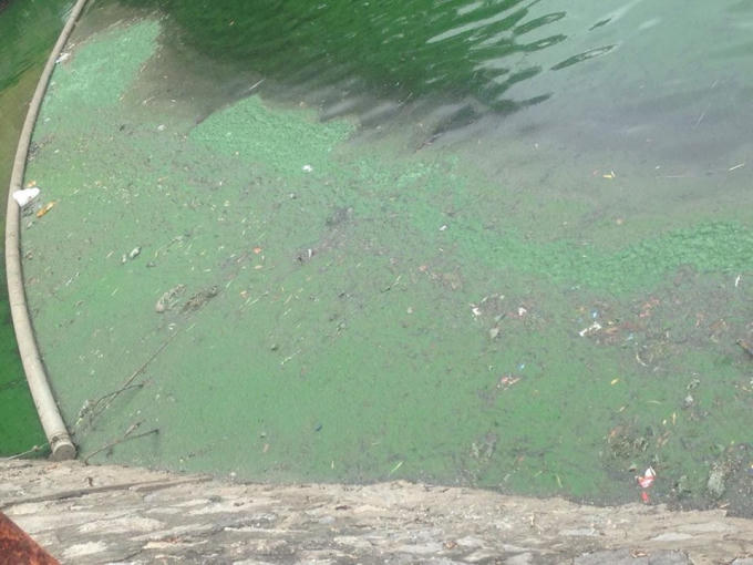 Tình trạng ô nhiễm gây ảnh hưởng đến cuộc sống sinh hoạt của người dân xung quanh.