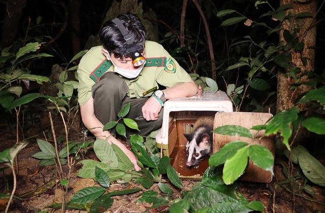 Bỏ quy định dừng nhập khẩu động vật hoang dã