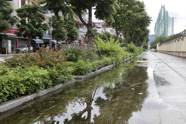 Đây là con đường với nhiều cây xanh được trồng mới, trong đó có rất nhiều loại cây hoa được trồng ven đường.