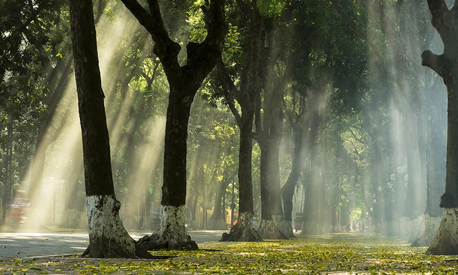 Sáng sớm mùa thu Hà Nội trên phố Phan Đình Phùng 