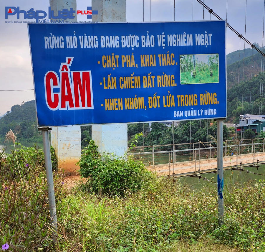 z3900416997261_295745adc8d5b4951cd0d289bab09939-0909