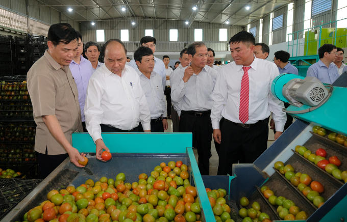 Riêng mô hình sản xuất nông sản công nghệ cao trong nhà kính đã mang lại doanh thu từ 1-3 tỷ đồng/ha/năm, cao gấp nhiều lần so với sản xuất truyền thống.