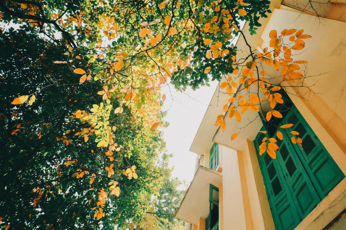 Mùa Thu là mùa rất đặc biệt của Hà Nội