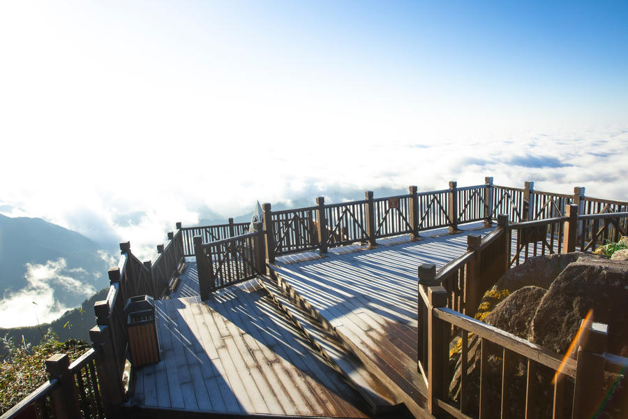 z5009956578337_29c5a83d981afd15d46aa2b275f29299