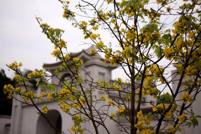 Đ&acirc;y l&agrave; hoạt động giao lưu văn h&oacute;a, du lịch giữa Quảng Ninh v&agrave; Nhật Bản, từ đ&oacute; tăng cường mối quan hệ hữu nghị hợp t&aacute;c giữa Việt Nam v&agrave; đất nước mặt trời mọc.