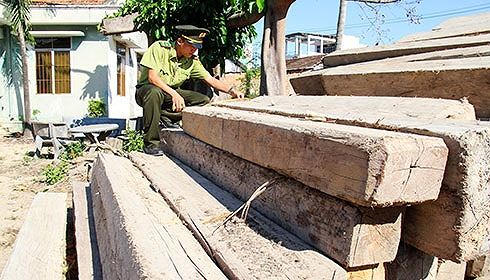 Lâm sản cất giấu trái phép bị lực lượng chức năng tạm giữ.