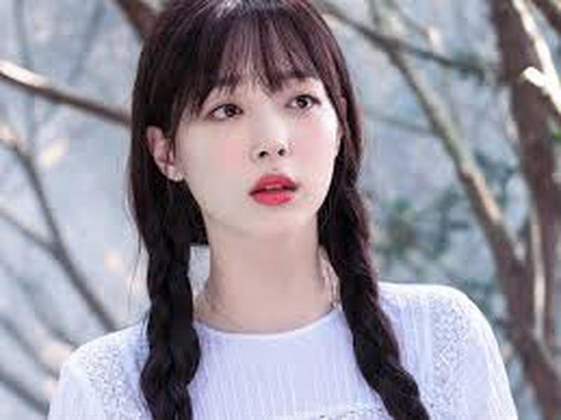 Trước khi tự tử Sulli đã phải đối mặt với sự cô đơn và trầm cảm nặng nề.