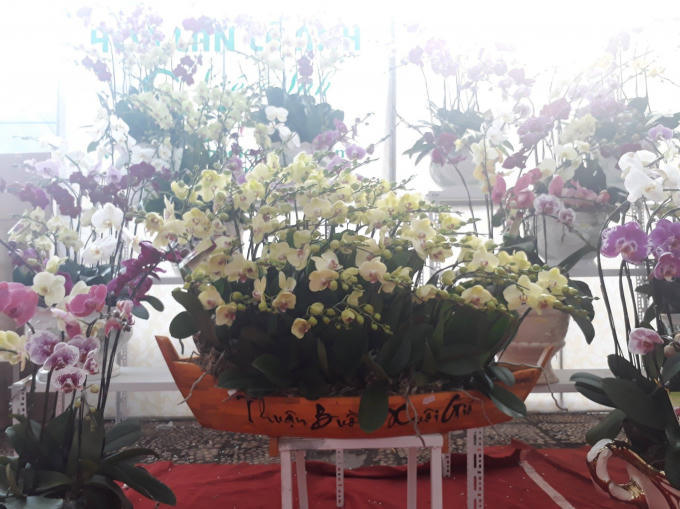 Một chậu lan hình chiếc thuyền, với ước mong gia chủ có một năm thuận buồm xuôi gió.