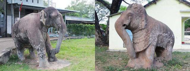 voi-da-vgp-1675094174010477434089