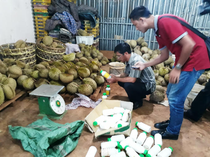 Công an bắt quả tang cơ sở sử dụng hóa chất làm chín sầu riêng.