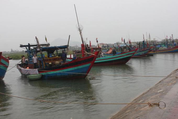 Cho thuyền vào nơi tránh bão.