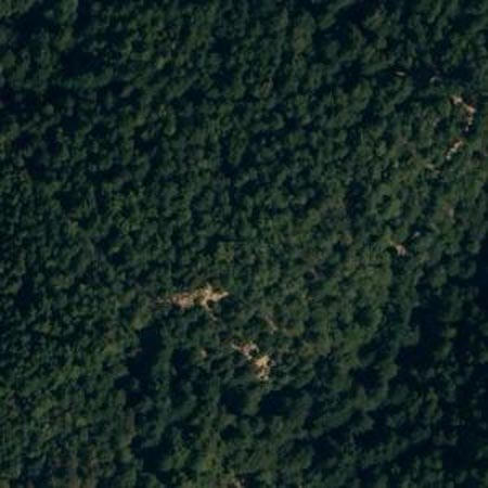 Khu vực t&igrave;m thấy x&aacute;c m&aacute;y bay&nbsp;Dan-Air. Ảnh: Google Maps