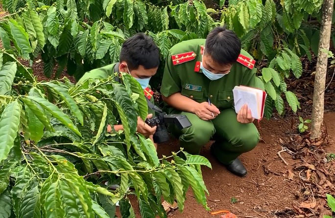 Truy tìm chứng cứ