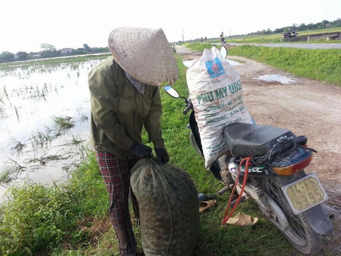 Sau khi bắt xong ốc được cho nên xe vận chuyển về.