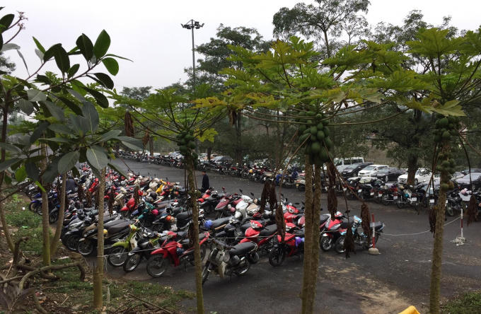 Các bãi xe đều trong tình trạng chật cứng.